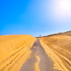 Cracked asphalt road crossing an arid dune terrain.