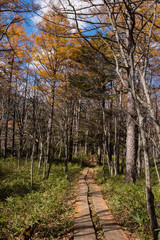 日光　戦場ヶ原の紅葉