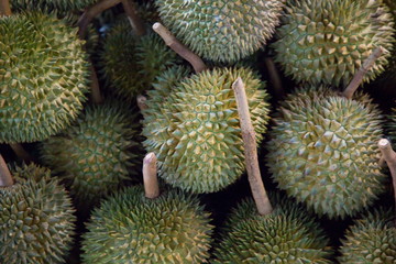 heap of durian fruits in market .