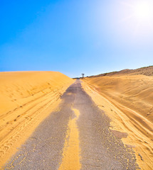 Fototapeta na wymiar Cracked asphalt road crossing an arid dune terrain.