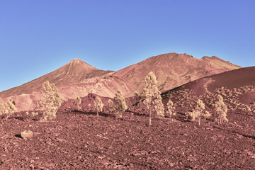 Teide Natural Park in Tenerife