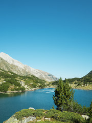 Naklejka na ściany i meble Mountain Lake. Bulgaria. Pirin Mountains. In the foreground is a cliff overgrown with juniper. Two pine trees grow on the edge of the cliff. Beginning of autumn. Bright blue sky.