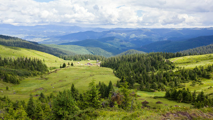 Fototapeta na wymiar Mountain meadow in the Carpathians