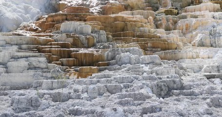 Yellowstone National Park Mammoth geyser landscape. Geothermal ecosystem environment. Caldera super volcano. Biology geography and ecology. Millions of tourist and visitors.