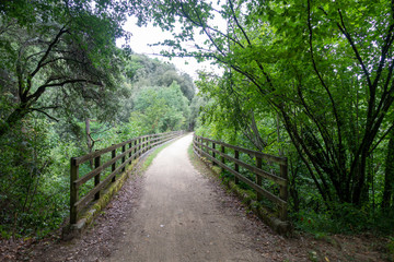 The green way of the carrilet path of Olot