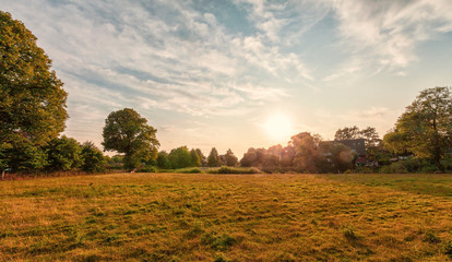 sunset over the field