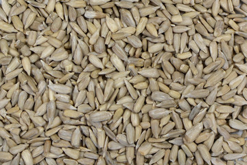 Top view background with white dehulled sunflower seeds
