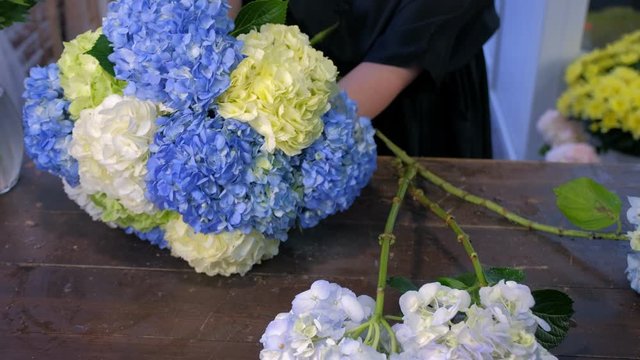 Floral business concept. Florist woman creates bouquet of blue, yellow and green hydrangea flowers in shop for sale, flowers closeup. Working in floristic studio store. Making professional bouquet.