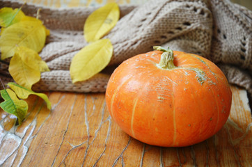 Autumn still life from tray full of pumpkin, leaves, cones, scarf, mug of cocoa, coffee or hot chocolate with marshmallow on plaid with garland. Concept warm home comfort.