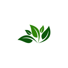 creative green leaf logo template