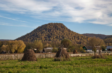 Obraz premium So the golden autumn has come