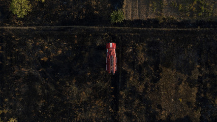 Green forest and many trees from a height.