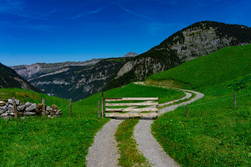 Berge mit weg