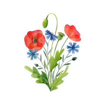 Watercolor bouquet of meadow flowers isolated on white background. Poppies and cornflowers. Handdrawn clipart for greeting cards and invitations.