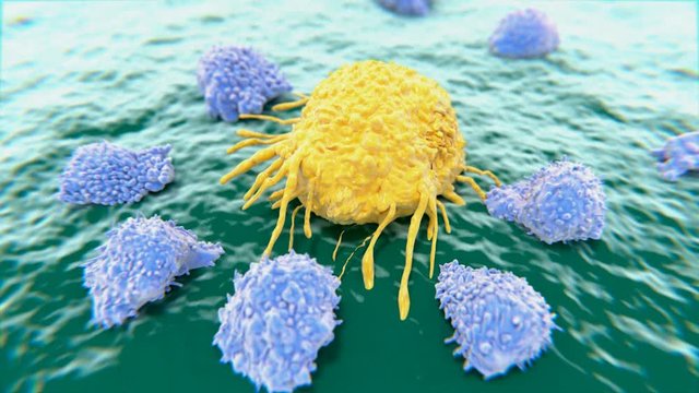 Cancer cell being destroyed by cytotoxic T cells.