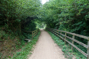 The green way of the carrilet path of Olot