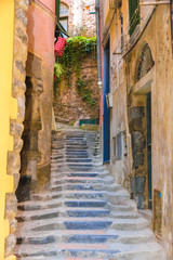 Fototapeta na wymiar Stairs between the houses in Cinque Terre