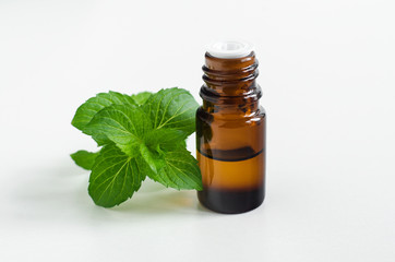 Small bottle with essential peppermint oil. Fresh mint leaves close up. Aromatherapy, spa and herbal medicine ingredients. Copy space