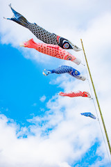 鯉のぼり　青空