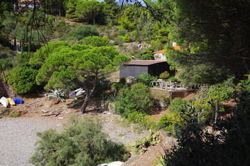 Cabane en bois noir