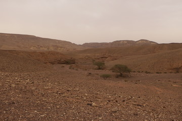 Fototapeta na wymiar The Red canyon in Israel near Eilat. 