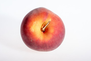 Pêche seule sur fond blanc