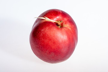 Nectarine seule sur fond blanc