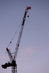 Crane