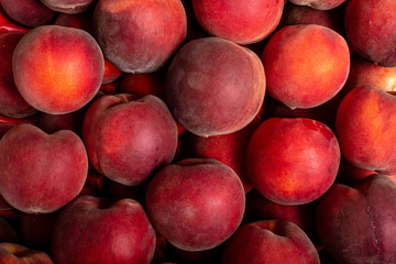 Pêches rangées vu du dessus