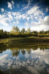 Mountain forest lake reflection landscape. Savsat/ Artvin 