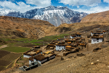 Village in Himalayas
