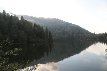 Mountain forest lake reflection landscape. Savsat/ Artvin 