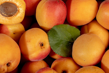 Abricots en vrac