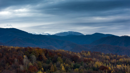 Fototapeta premium Autumn landscape scene with yellow forest and mountain in the background