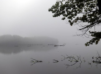 Foggy morning at a freshwater lake