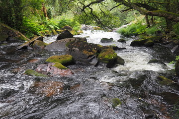 rio Ulla,  haciendosse camino entre  vegetacion  y  piedras, Macara, la Coruña, Galicia, España