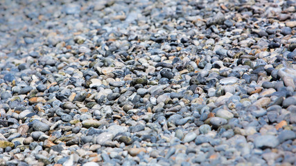 beach pebbles in Normandy, France