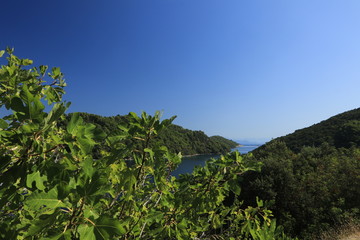 Fototapeta na wymiar beautiful view to the Tatinica bay on Mljet island 