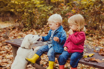 Babies and doggy in the autumn park