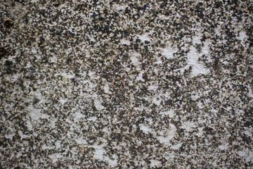 Texture picture of concrete wall background wallpaper