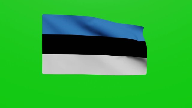 Bandera Estonia. V&iacute;deo	