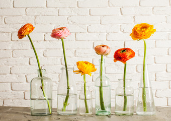 Row of glass bottles with flowers in them