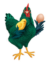 poule, coq, oeuf, isolé, ferme, animal, volaille, vert, fière, producteur, montrer, agriculture, coquelet, oiseau, domestique, brun, poussin, bec, rouge, bétail, oeuf, agriculture, viande, rural, natu