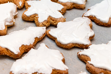 Christmas New Year traditional homemade cookies biscuit stars and pine tree spruce shape preparation process