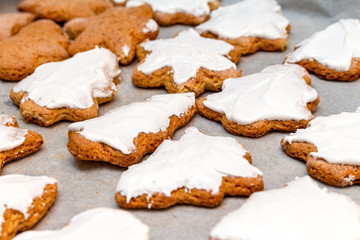Christmas New Year traditional homemade cookies biscuit stars and pine tree spruce shape preparation process