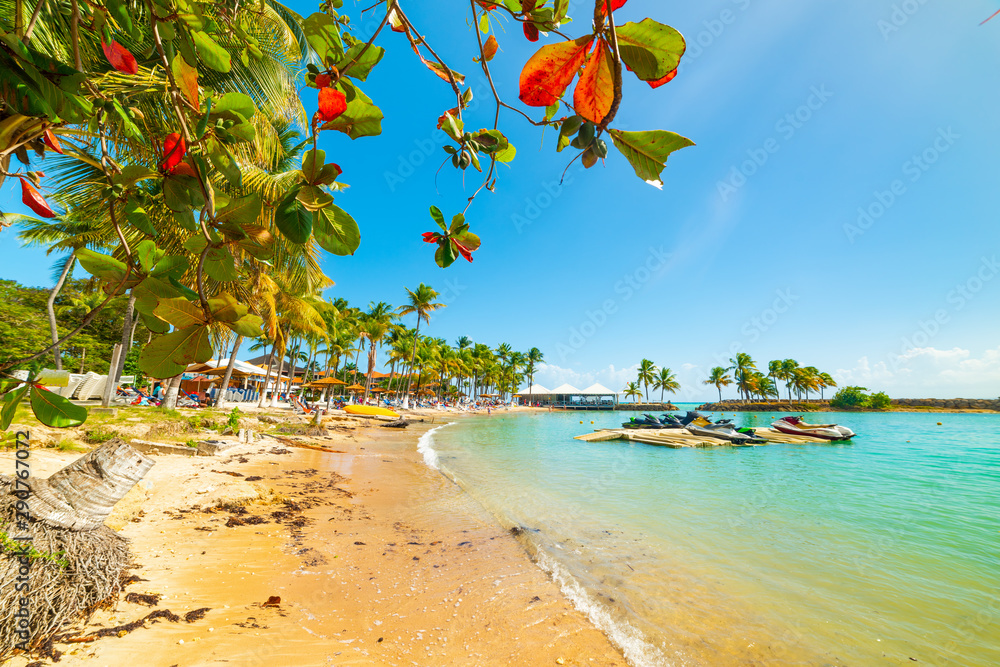 Poster Turquoise sea in Bas du Fort beach in Guadeloupe