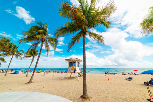 Golden sand and palm trees in Fort Lauderdale shore