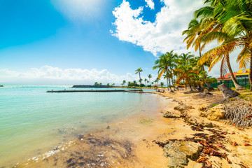 Colorful shore in Bas du Fort beach in Guadeloupe