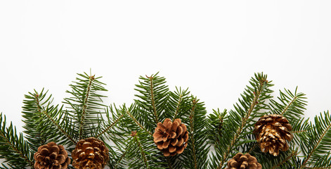 Fototapeta premium Fir twig and pine cones, white background