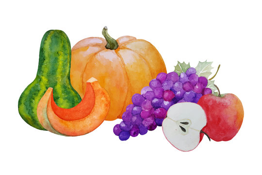 watercolor autumn composition with pumpkins, apples and grape, hand painted vector illustration for thanksgiving holiday or autumn harvest festival design